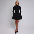 Women’s Backless Bodycon Mini Dress – Long Sleeve, High Neck Fit