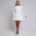 Women’s Backless Bodycon Mini Dress – Long Sleeve, High Neck Fit