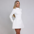 Women’s Backless Bodycon Mini Dress – Long Sleeve, High Neck Fit