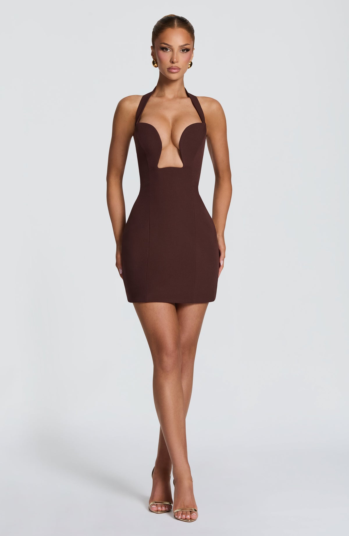 Charlotte Mini Dress - Plum Brown