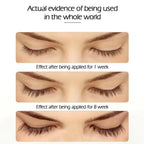 Eyelash & Eyebrow Enhancer Serum – Natural Formula for Longer, Fuller, Thicker Lashes