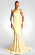 One-Shoulder Backless Maxi Dress – Elegant Bodycon Evening Gown