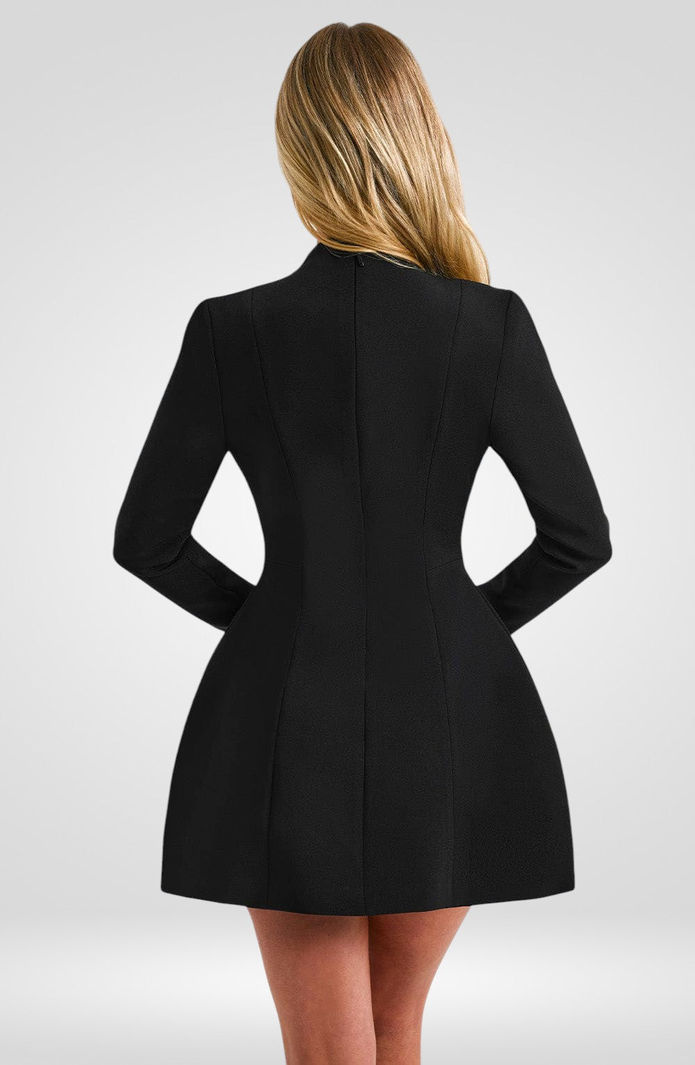 Women's Deep V Long Sleeve A-Line Mini Dress