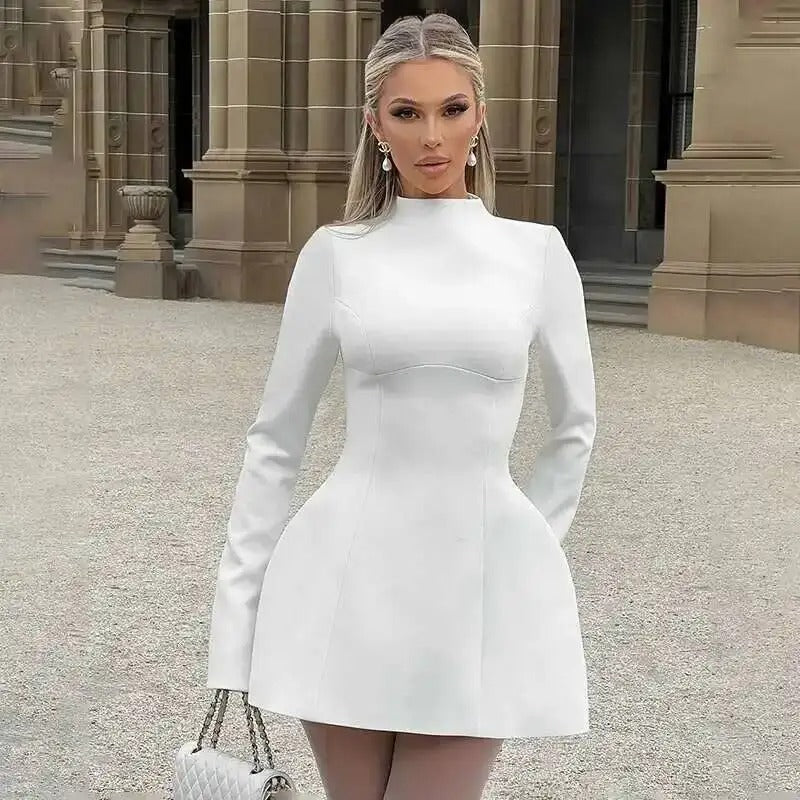 Women’s Backless Bodycon Mini Dress – Long Sleeve, High Neck Fit